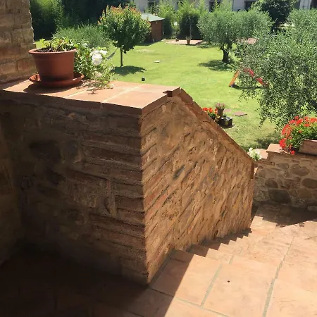 L'olivo * Ponte Pattoli